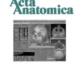 Acta Anatomica 160, Nr. 2, 1997