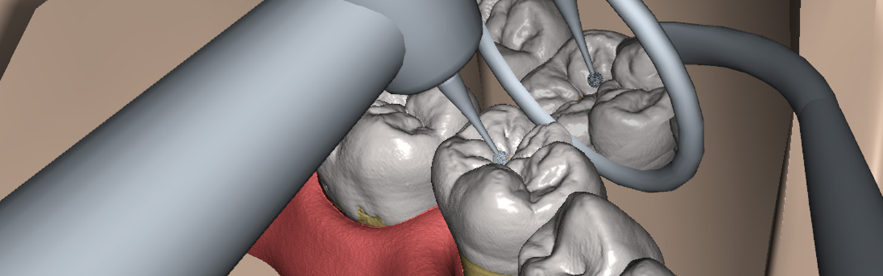 VOXEL-MAN Dental