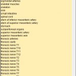 Liste der anatomischen Objekte